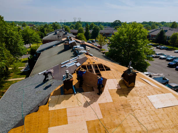 Best Flat Roof Repair Services  in Nahunta, GA