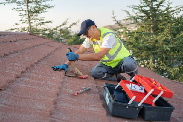 Best Local Roofing Companies  in Nahunta, GA