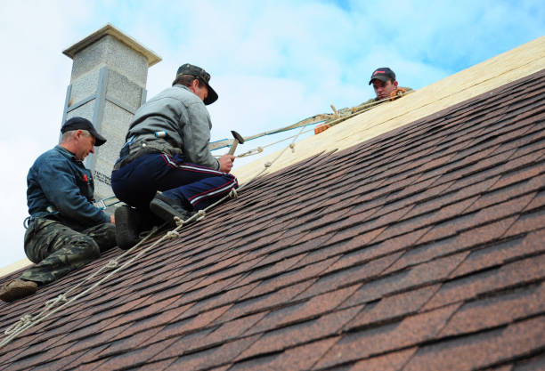 Best Emergency Roof Repair  in Nahunta, GA