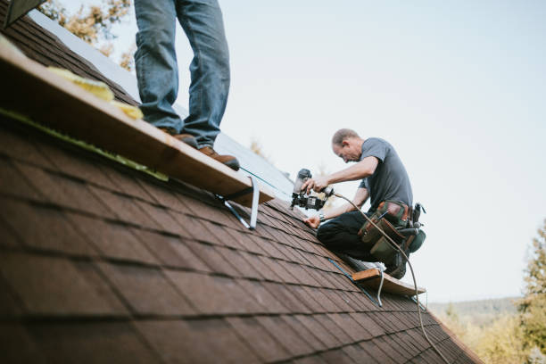 Best New Roof Installation  in Nahunta, GA